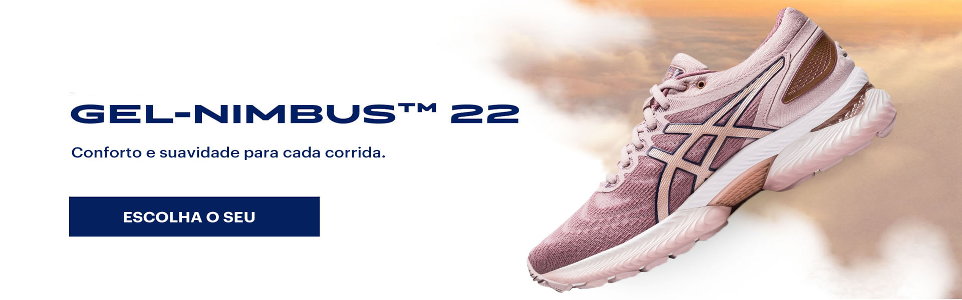 Campanha GEL-Nimbus 22