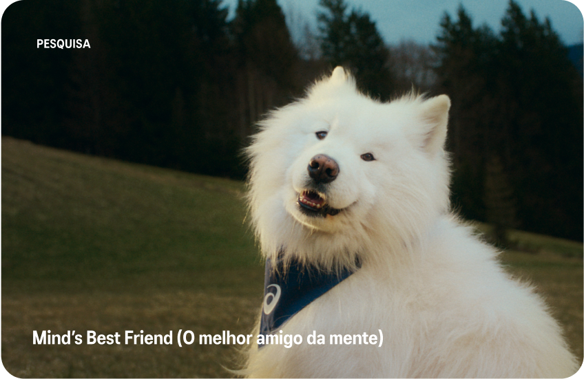 Melhor Amigo da Mente